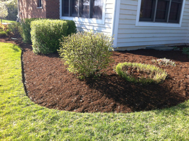 landscaping-beds-bush-planting-mulch-spreading - Two Amigos Landscaping Inc
