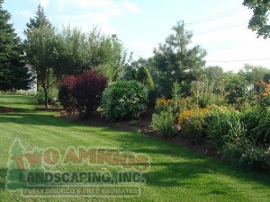 Large variety of plants and shrubs