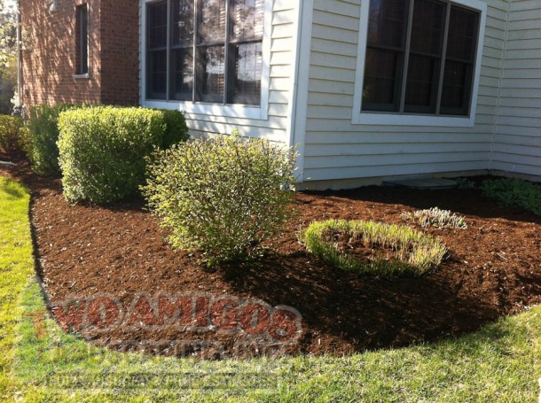 Bed cleanup, edging, and mulching